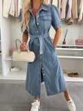 Petra Puff-Sleeve Button Denim Maxi Dress